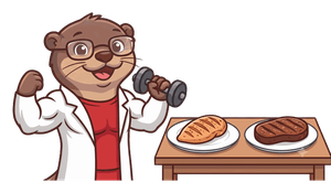 Max, mascota dieta Alta proteína