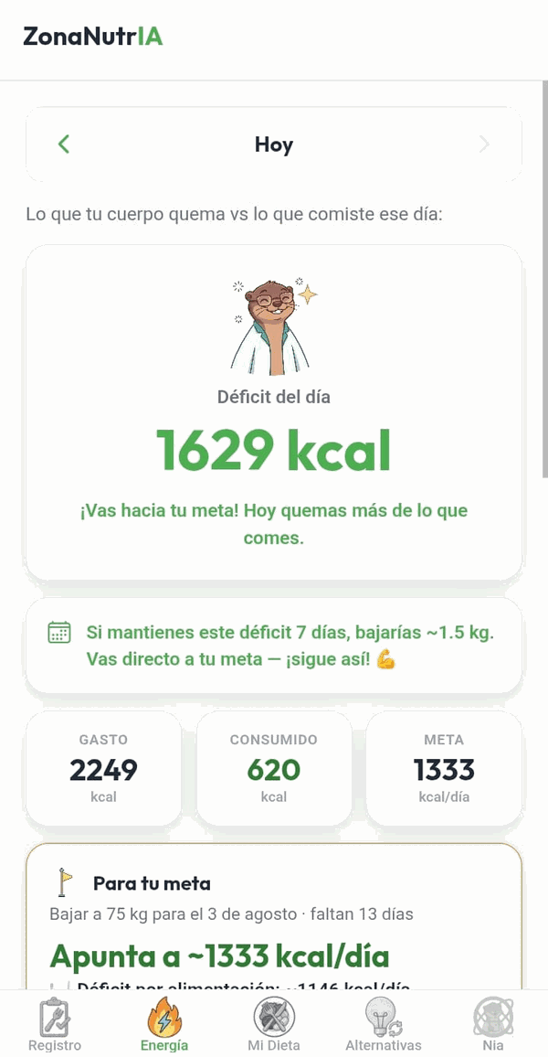 Pantalla Balance de energía de ZonaNutrIA